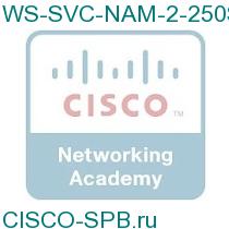 WS-SVC-NAM-2-250S