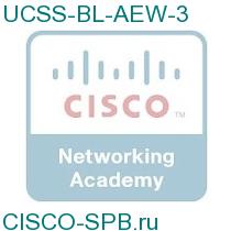 UCSS-BL-AEW-3