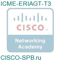 ICME-ERIAGT-T3