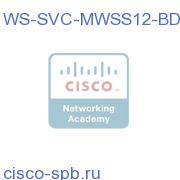WS-SVC-MWSS12-BDL