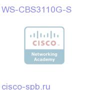 WS-CBS3110G-S