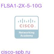 FLSA1-2X-5-10G