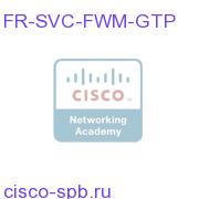 FR-SVC-FWM-GTP