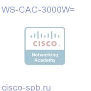 WS-CAC-3000W=