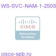 WS-SVC-NAM-1-250S=