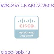 WS-SVC-NAM-2-250S=