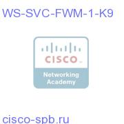 WS-SVC-FWM-1-K9