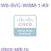 WS-SVC-WISM-1-K9