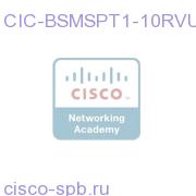 CIC-BSMSPT1-10RVU