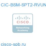 CIC-BSM-SPT2-RVUNP