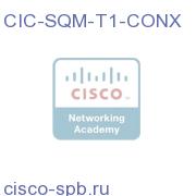 CIC-SQM-T1-CONX