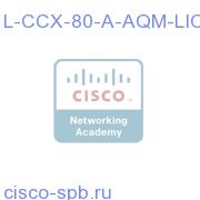 L-CCX-80-A-AQM-LIC