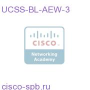 UCSS-BL-AEW-3
