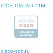 IPCE-CIA-AO-11M