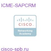 ICME-SAPCRM