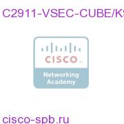 C2911-VSEC-CUBE/K9