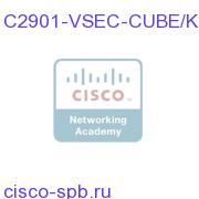 C2901-VSEC-CUBE/K9