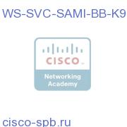 WS-SVC-SAMI-BB-K9