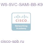 WS-SVC-SAMI-BB-K9=