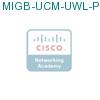 MIGB-UCM-UWL-PRO подробнее