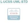 L-UCSS-UWL-STD-1Y подробнее