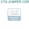 CTS-JUMPER-CORD= подробнее