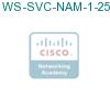 WS-SVC-NAM-1-250S= подробнее