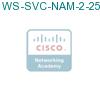 WS-SVC-NAM-2-250S= подробнее