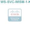 WS-SVC-WISM-1-K9 подробнее