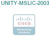 UNITY-MSLIC-2003 подробнее