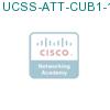 UCSS-ATT-CUB1-1 подробнее