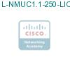 L-NMUC1.1-250-LIC подробнее