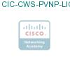 CIC-CWS-PVNP-LIC подробнее