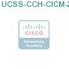 UCSS-CCH-CICM-2-1 подробнее