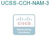 UCSS-CCH-NAM-3-1 подробнее