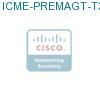 ICME-PREMAGT-T3-L подробнее