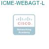 ICME-WEBAGT-L подробнее