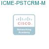 ICME-PSTCRM-M подробнее