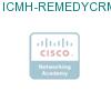 ICMH-REMEDYCRM-M подробнее