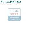 FL-CUBE-100 подробнее