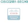 CISCO2951-SEC/K9 подробнее