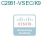 C2951-VSEC/K9 подробнее