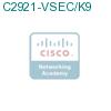 C2921-VSEC/K9 подробнее