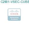 C2901-VSEC-CUBE/K9 подробнее