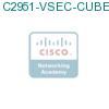 C2951-VSEC-CUBE/K9 подробнее