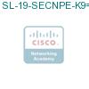 SL-19-SECNPE-K9= подробнее